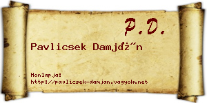 Pavlicsek Damján névjegykártya
